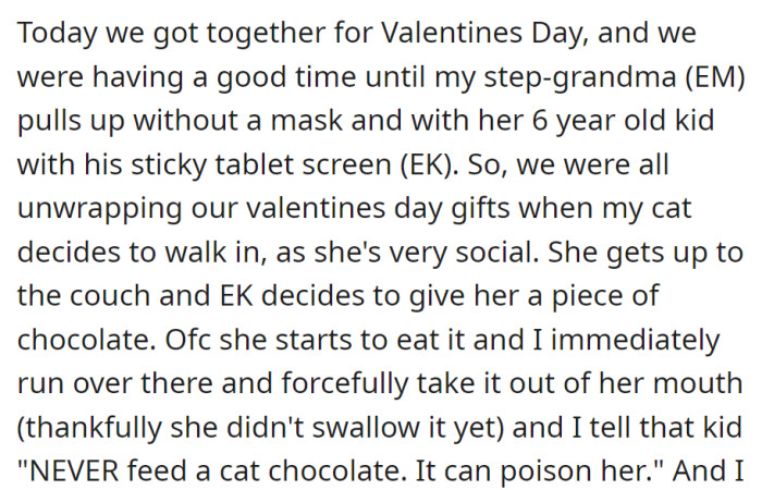 Valentine's Day took a concerning turn as a step-grandma arrived without a mask, and her 6-year-old tried feeding the host's cat chocolate, prompting a quick intervention to prevent harm.