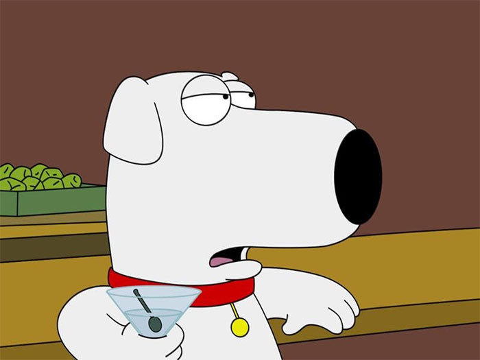 Brian in Family Guy.