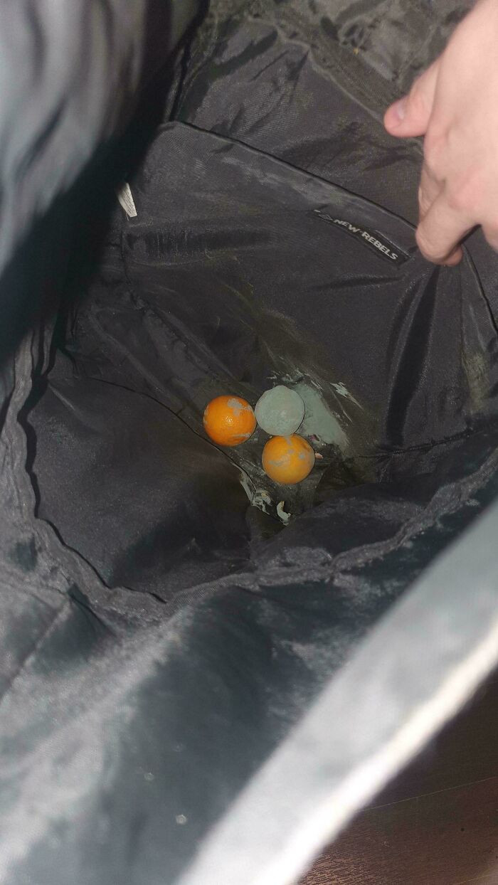 "I Forgot 3 Tangerines In My Backpack"
