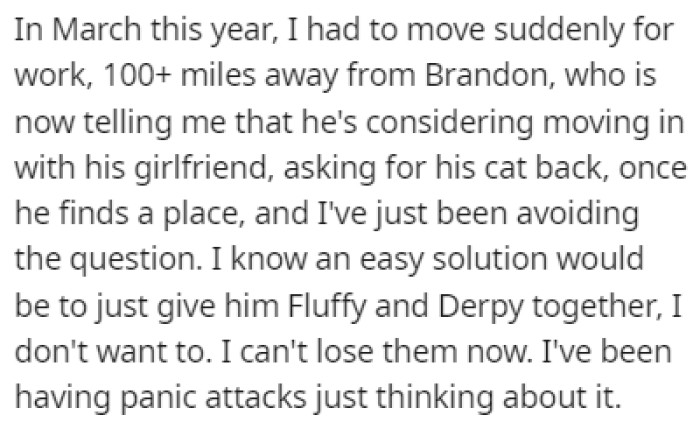 After two years of barely seeing his kitten, Brandon now wants his cat back