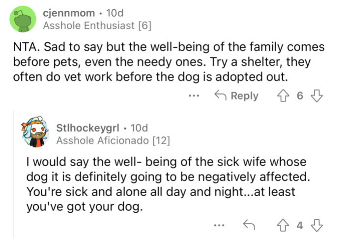 OP can try to place their dog in a good shelter.