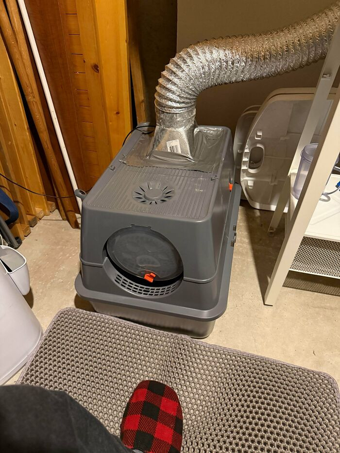 "My “Simple” Solution To Litter Box Smells"