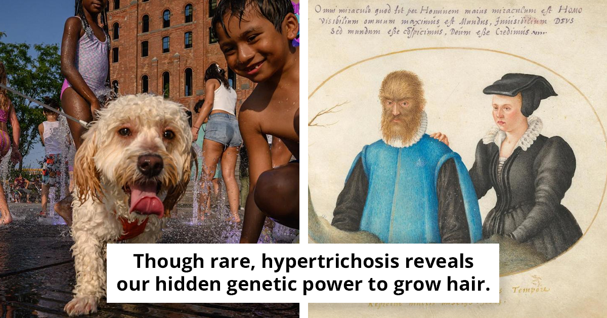 Why Humans Aren't Covered In Fur Explained By A Biologist