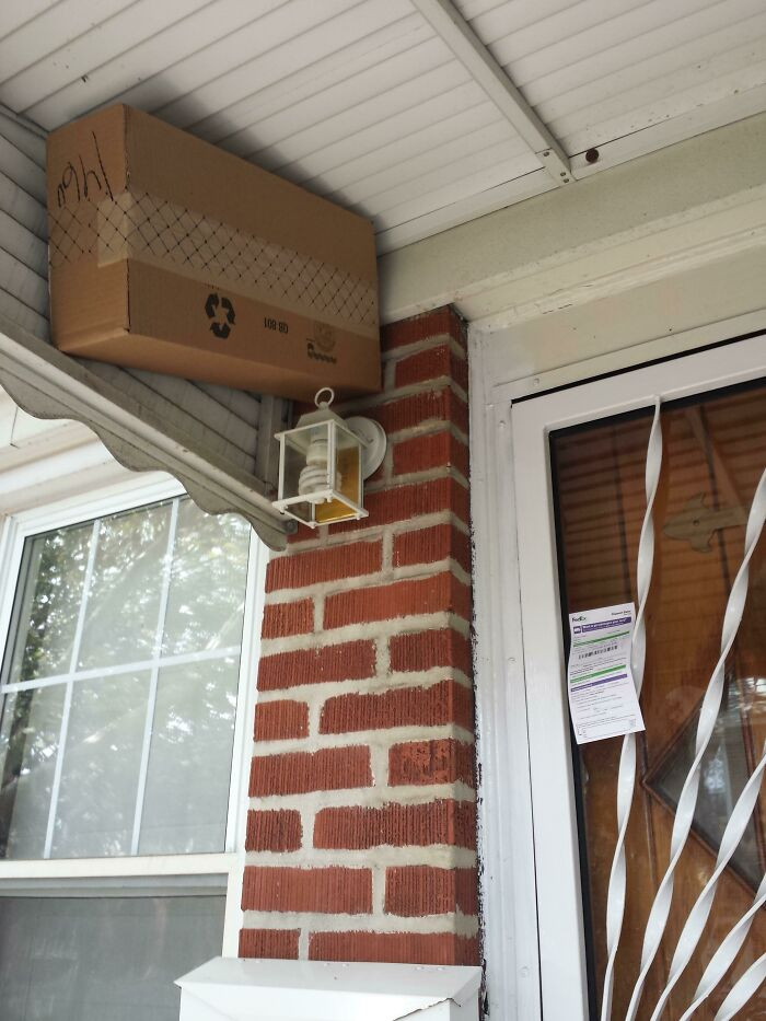 "FedEx Decided To Get Creative On Me"