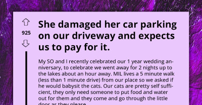 MIL Agreed To Cat-Sit For Redditor, Damages Her Car While Parking On Their Driveway, And Now Demands They Cover The Repair Costs