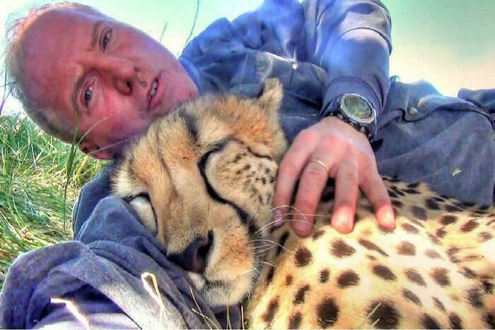 "True Story: A Wildlife Photographer, Dolph Volker, Once Woke Up From A Nap Under A Tree And Found A Cheetah Sleeping Against Him"