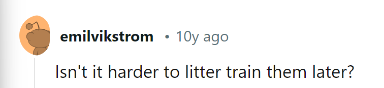 Indeed, Trying to Teach Old Trash New Tricks Can Be Quite the Chore!