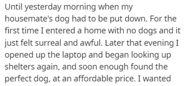 OP tried looking for a new dog, but she couldn't find one until yesterday when her housemate's dog had to be put down