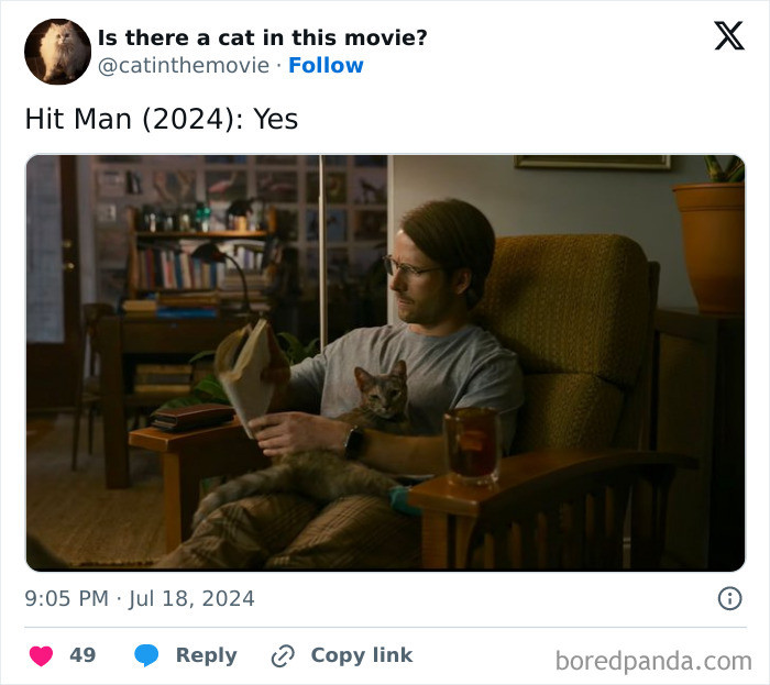 Categorized cat-movie discussion, with The Beach Bum and The Cat as a Symbol