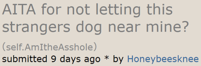 A Redditor is a pet owner who has a nervous dog.