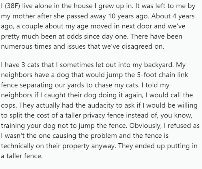 OP lives alone in her childhood home, inherited from her mother a decade ago. Four years prior, a couple around her age moved next door, beginning a fraught neighborly relationship.
