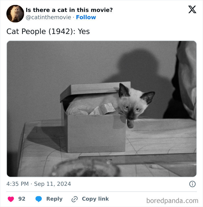 Headline about cinematic cats as cultural icons, with Runaway Bride listed