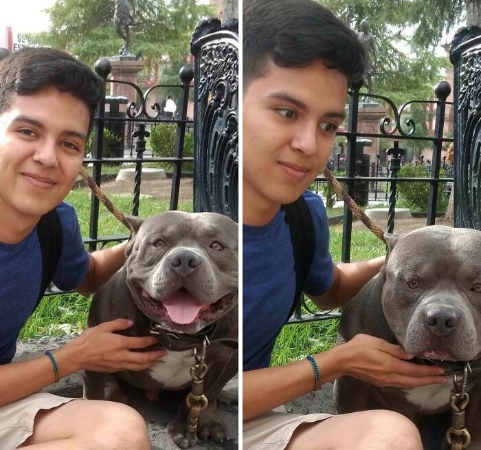 "Can I Pet Him? -Sure, He’s Friendly-(Doggo Starts Growling Mid Picture)"