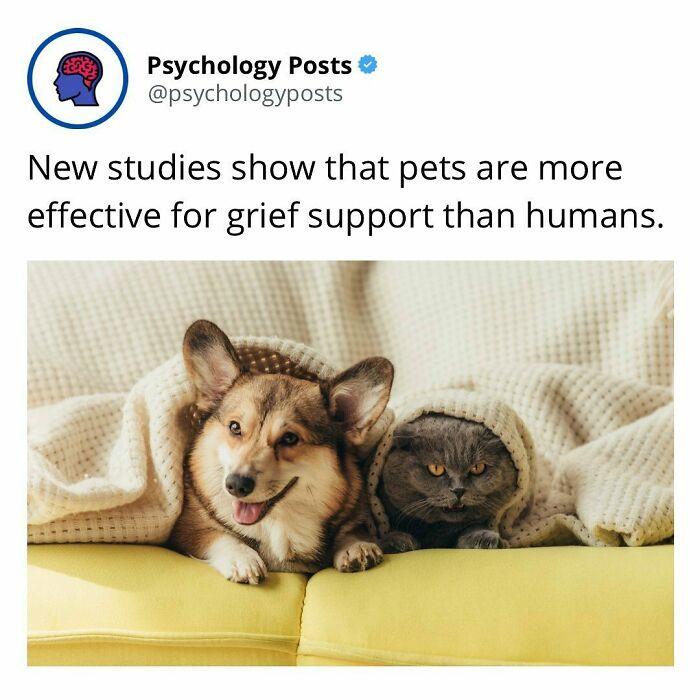 The benefit of having pets