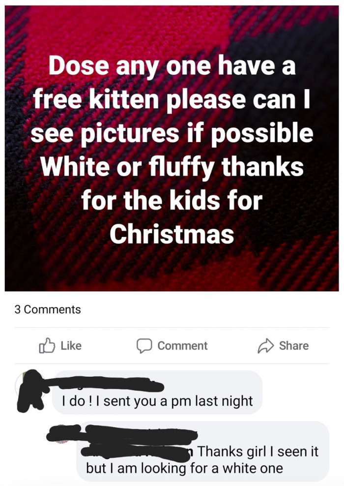 7. Looking for something that would fit their aesthetic