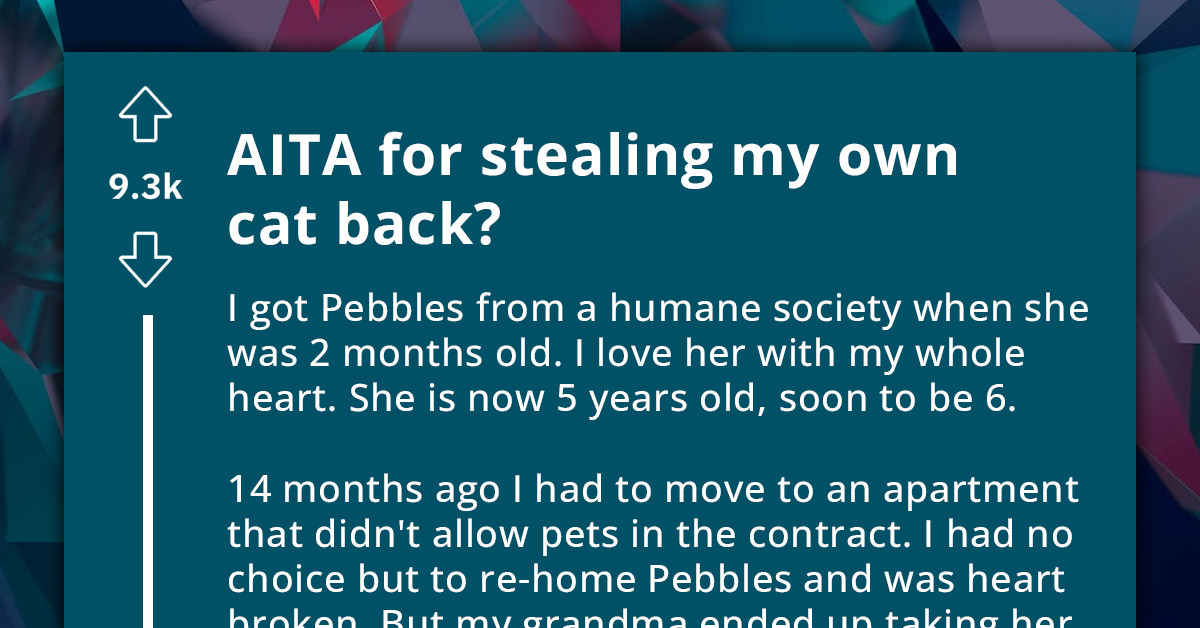 Redditor's Relatives Re-Home Her Cat Without Even Asking Her; She Decides To Steal It Back