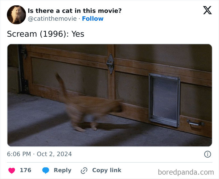 Scream
