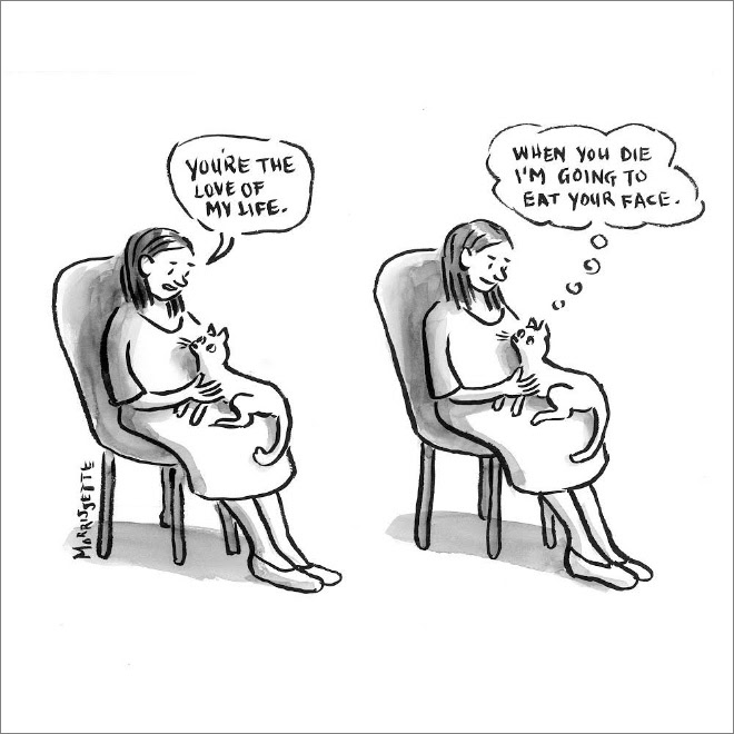 31. A typical cat-hooman relationship