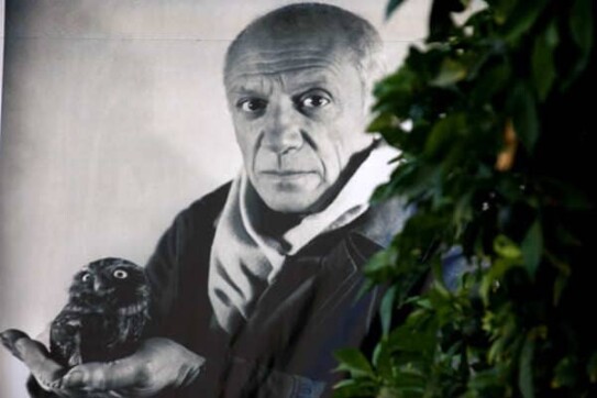 11. Pablo Picasso