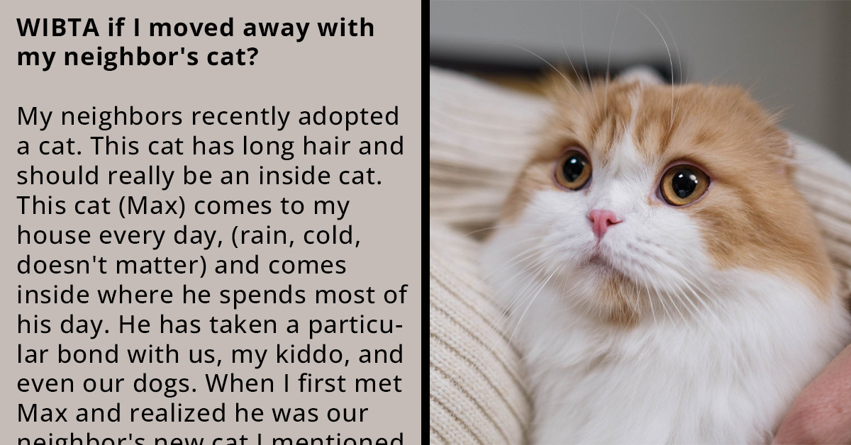 Redditor Asks for Advice on Whether to Steal Neighbor's Cat While Moving, as They Think He's Being Neglected