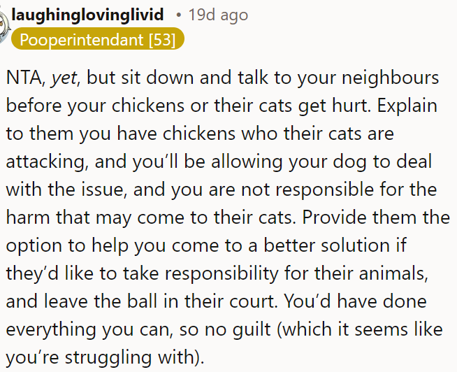OP should inform her neighbors that their cats are attacking her chickens and warn them that her dog will intervene.