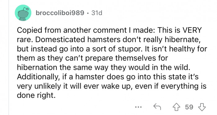 Domestic hamsters don't hibernate.