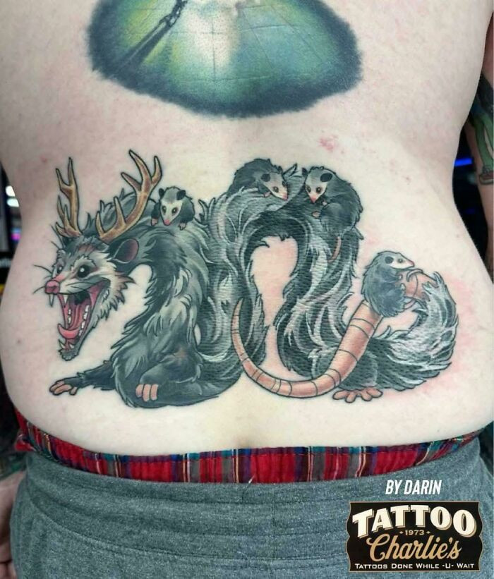 "Their Description: Rad Opossum Dragon Champ Stamp"