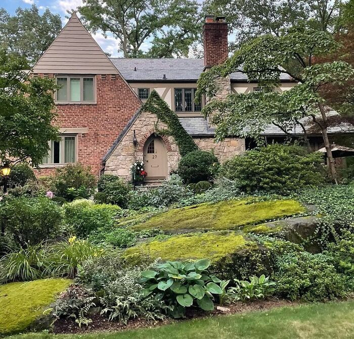 Moss garden for a green backyard.