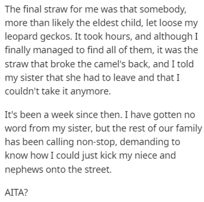 The final straw for OP was when the eldest child released his leopard geckos