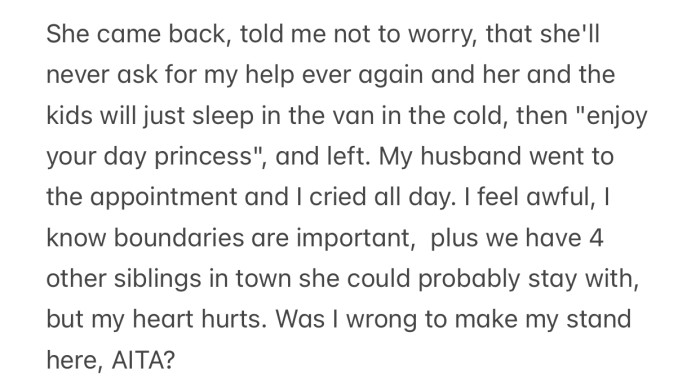 The sister ended up leaving, and her final words made OP doubt how she dealt with the situation.