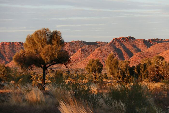 Australia holds the title of the most arid populated nation on the planet, yet beneath its surface lies the world's largest subterranean freshwater reservoir.