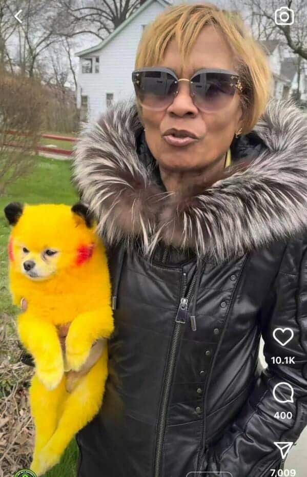 6. The evolution of Pikachu