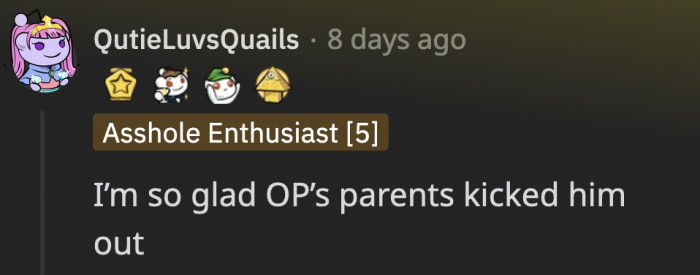 A lot of people in the comments agree that OP’s parents did the right thing by kicking Mike out