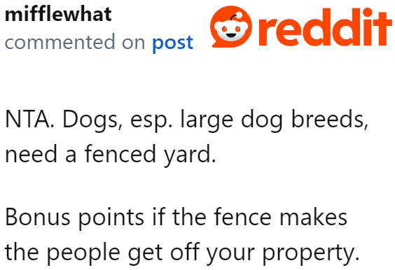 It's ideal for large breeds to be in a fenced yard, especially since the OP's dog tends to chase after most things.