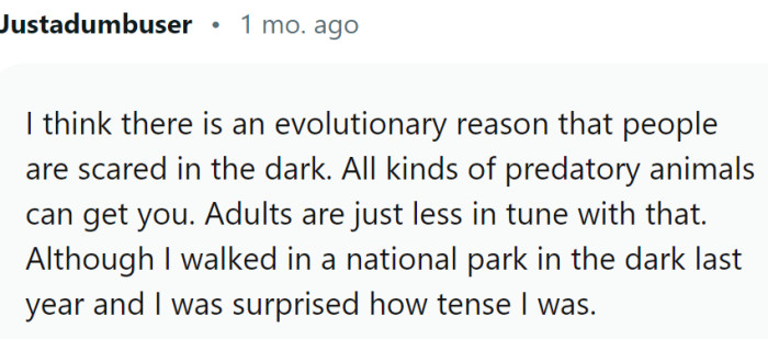 This is probably very true. Our primary fear is mitigated by the fact that we now have lights everywhere...