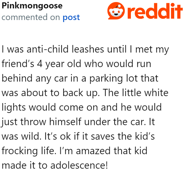 Some kids are just too mischievous; they need to be leashed. They'll get into life-threatening situations otherwise!