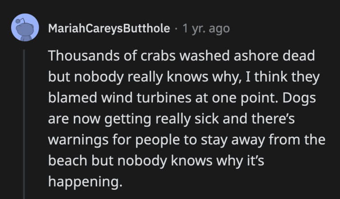 42. This doesn't seem like a gossip but a major reason for concern