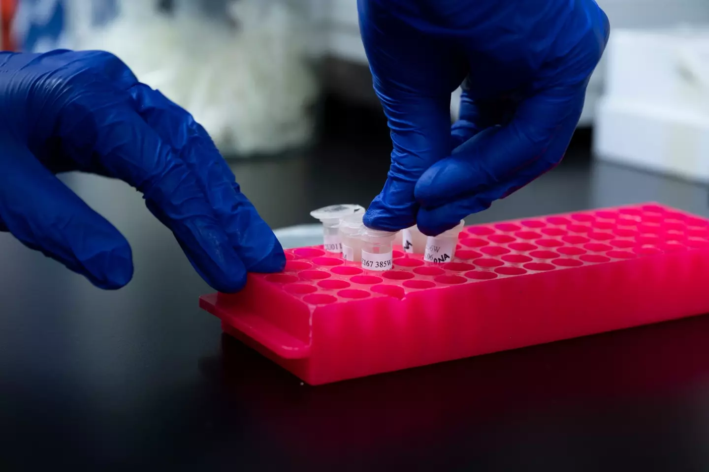 What This Means for Human History