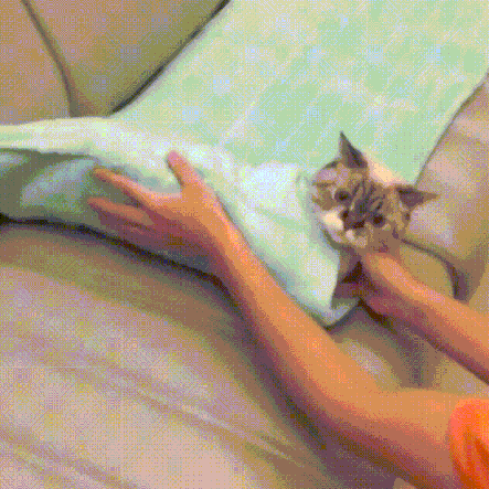 31. Most police in Japan will get a futon and roll up a person into a little burrito if they are being violent or drunk