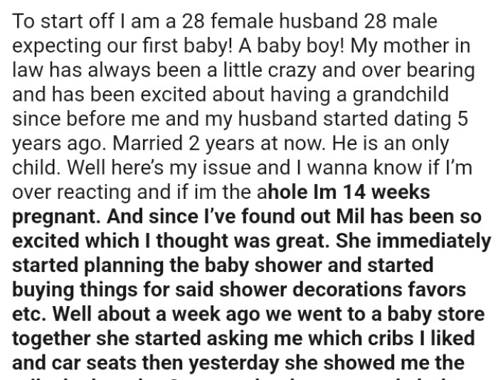 The OP is 14 weeks pregnant and since she's found out, her MIL has been so excited, which she thought was great