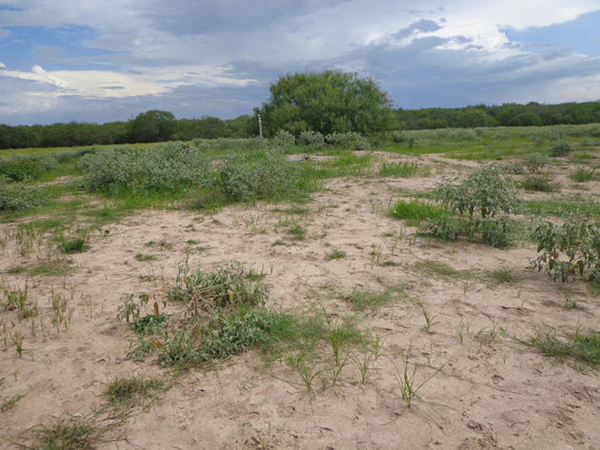 You wouldn't know there's a shelter.