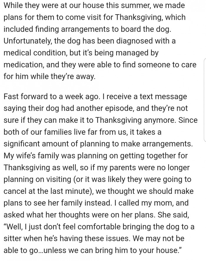 OP Explained That the Family Reunion Was on the Brink of Collapse After the Dog Got Sick. Apparently, His Parents Weren't Comfortable Leaving Their Sick Dog with a Sitter.