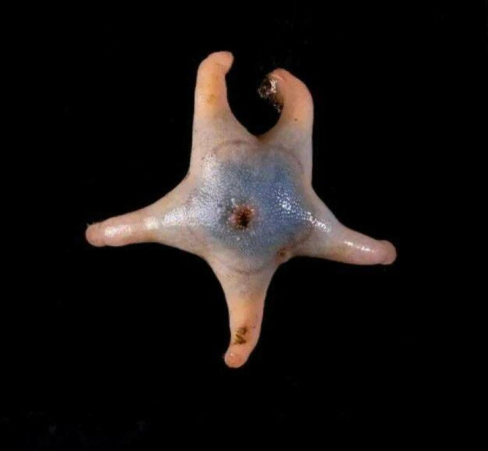 1. This is an incredible find