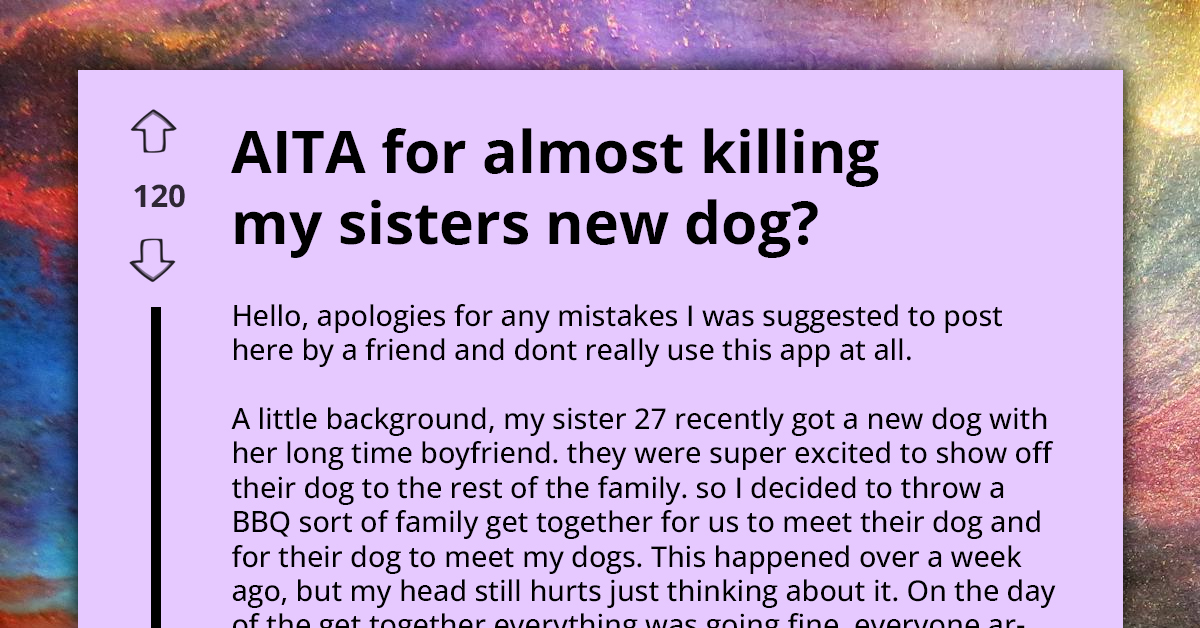 AITA For A Dog Disaster At A Family BBQ