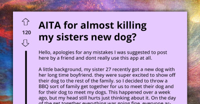 AITA For A Dog Disaster At A Family BBQ