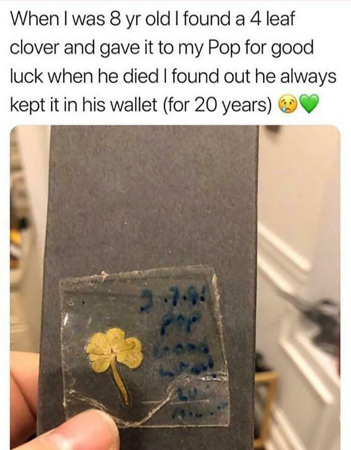 "A Four-Leaf Clover Given At Age 8, Kept In Pop’s Wallet For 20 Years"