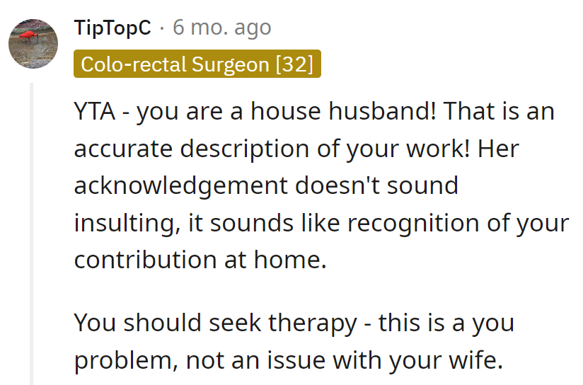 House husband: recognition, not insult. Time for therapy—it's a personal plot twist, not a marital saga.
