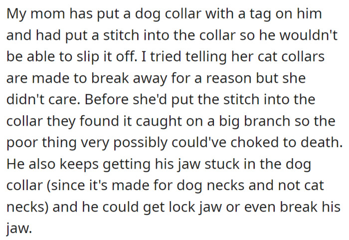 Against advice, her mom used a dog collar on the cat, stitching it in place, risking the cat's safety, as it got caught and could cause jaw injuries due to its unsuitability.