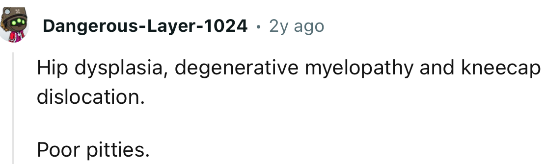 This is what pitties have been going through