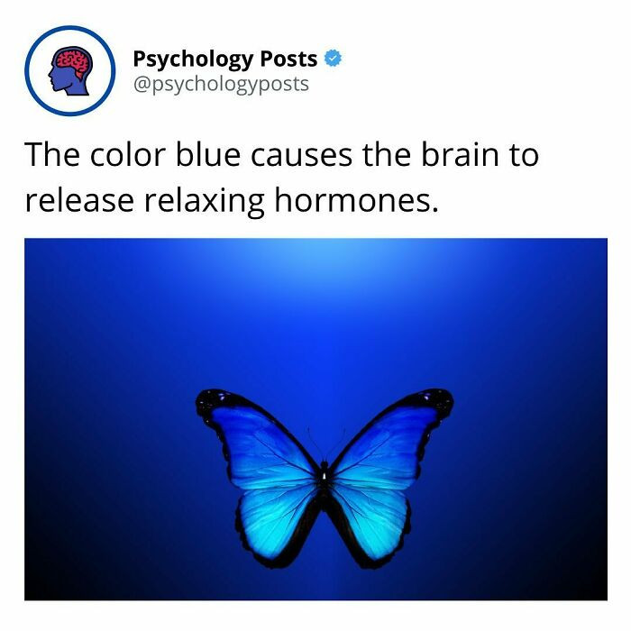 The benefit of the color blue